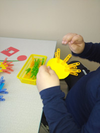 Использование игр с прищепками в работе с детьми с ограниченными возможностями здоровья